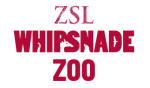 Whipsnade Zoo Couponcodes & aanbiedingen 2022