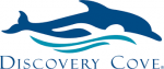 Go to Discovery Cove